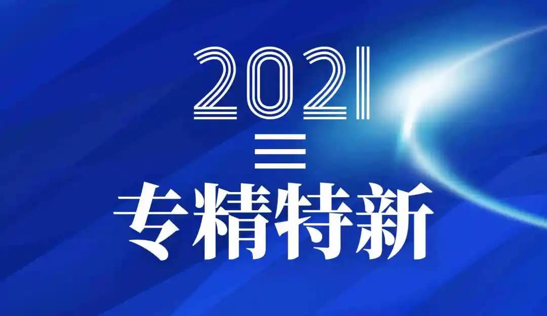 <b>關(guān)于下屬子公司被認定為2021年浙江省“專精特新”中小企業(yè)公告</b>